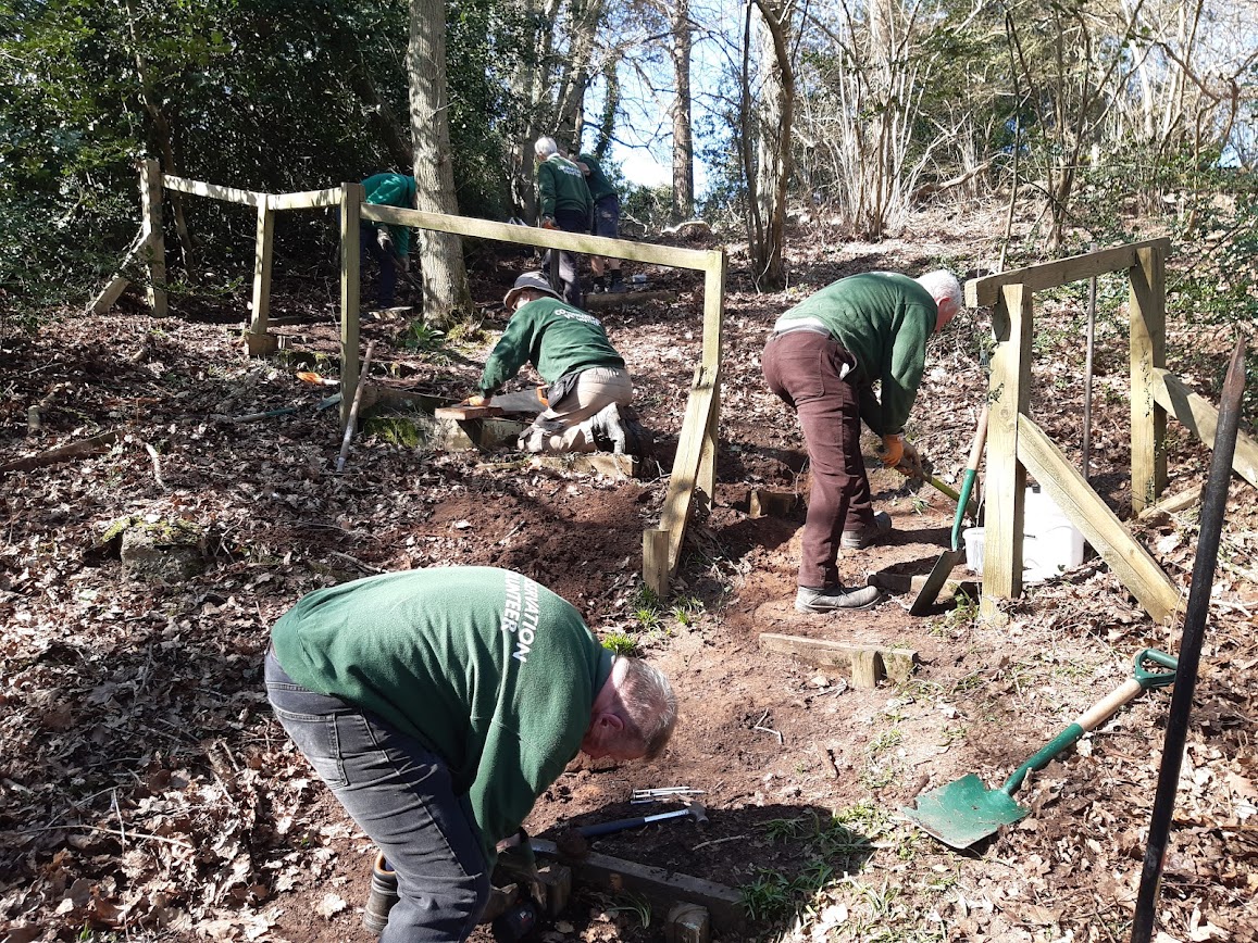 people working in woodland