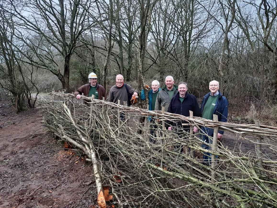 volunteers stood behind woven branch fence