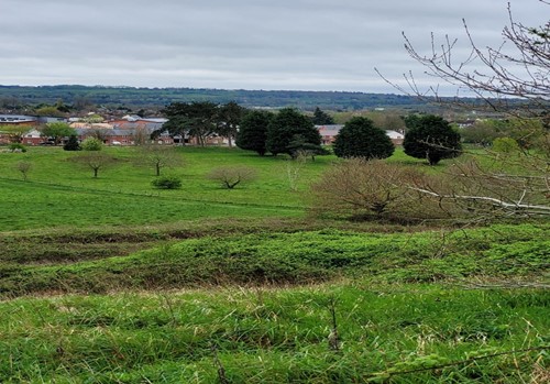 view down grassed hill towards trees and housing