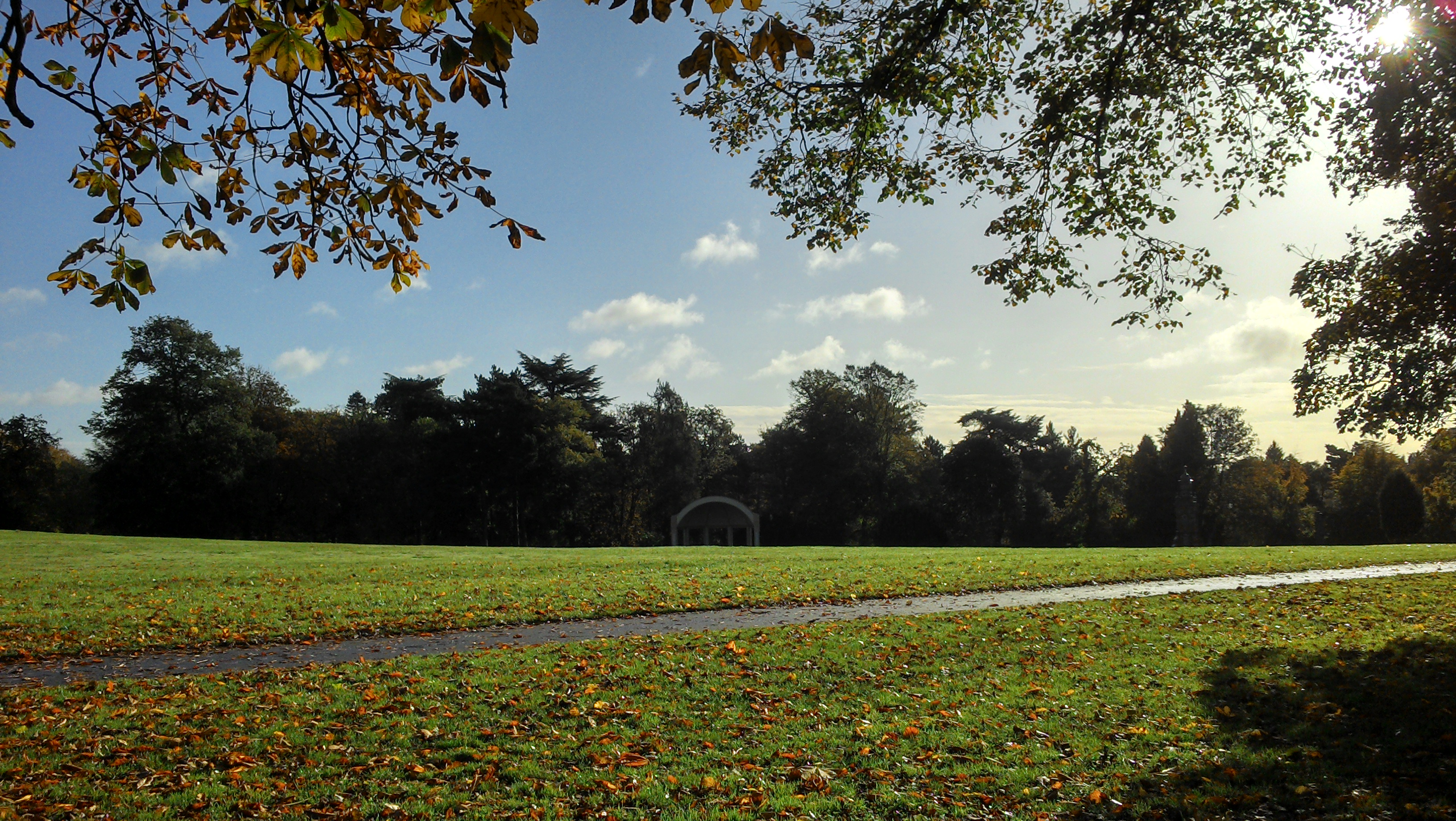 open park land