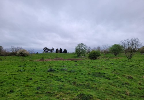 grassed field area