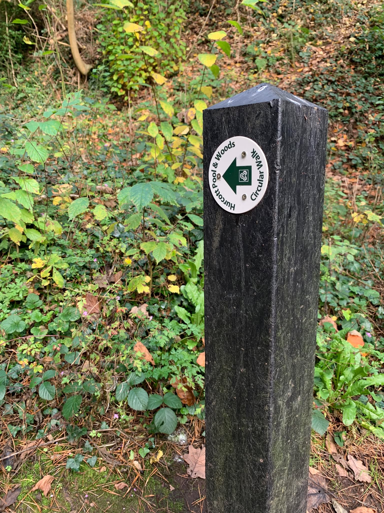 waymarker