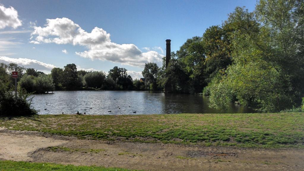 A grassy park with a large pool of water surrounded by trees