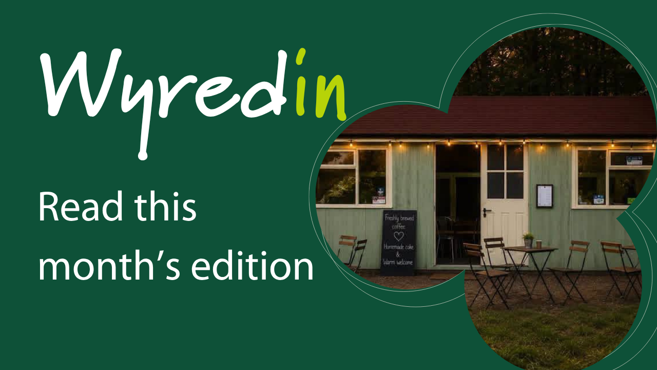 wyredin read this month's edition written on green background