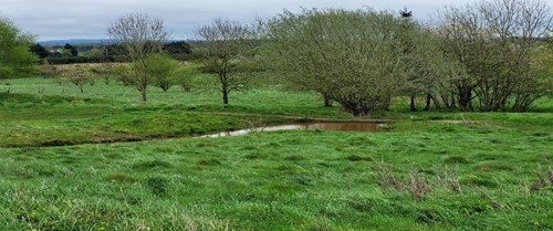 body of water in grassed field