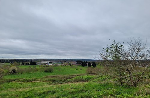 view across grassed area towards housing